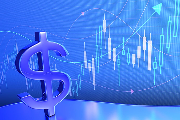 large picture of the cover