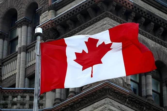 The cover picture of the next content