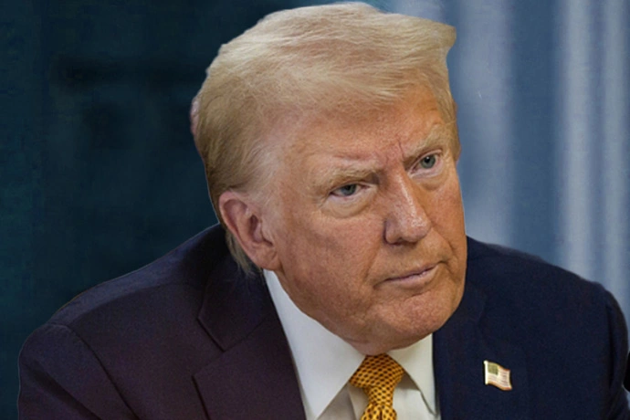 large picture of the cover