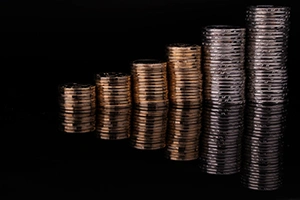 large picture of the cover