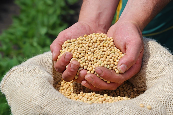 The cover picture of the previous content