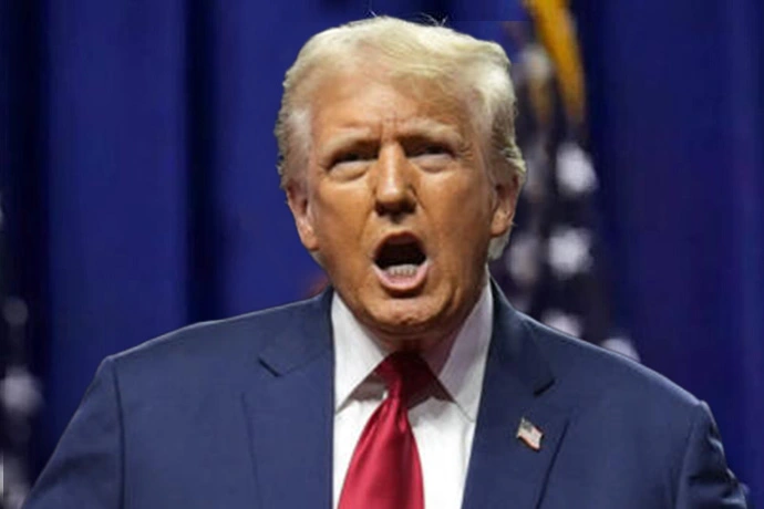 large picture of the cover