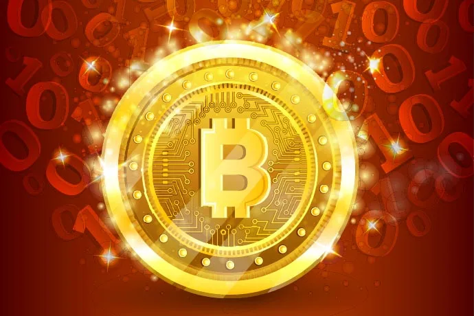 large picture of the cover