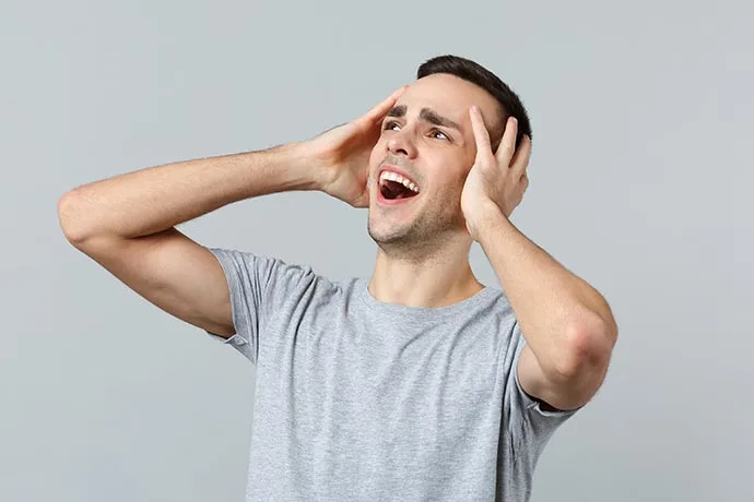 large picture of the cover