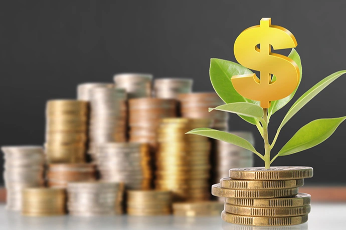 large picture of the cover