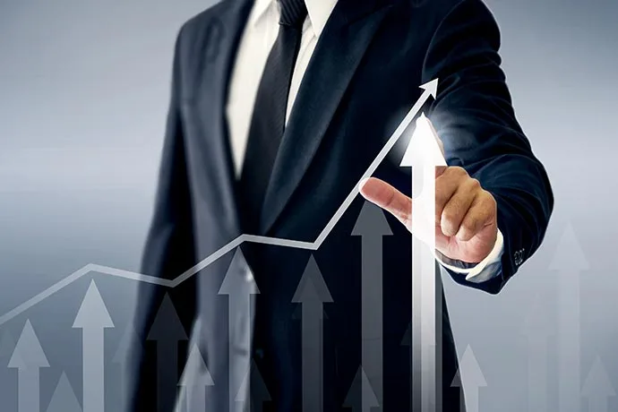 large picture of the cover