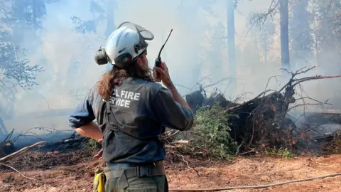 Supplied A firefighter, wearing a helmet and speaking into a walkie-talkie with his back to the camera, stands in a forest filled with smoke