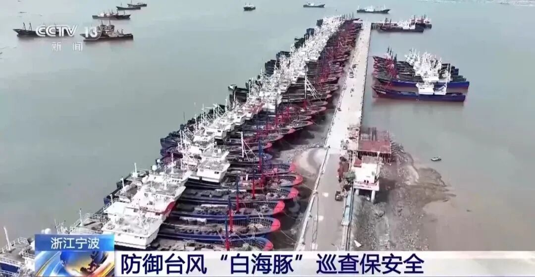 “白海豚”即将移入东海，向华东沿海靠近！上海将迎大风大雨，气温真的下来了相关资料图（5/5）